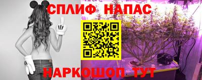 стаф Усть-Илимск