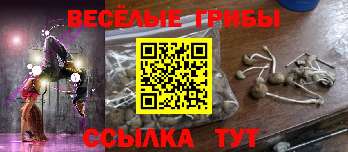 Бор  Галлюциногенные грибы мухоморы  Вход с VPN 